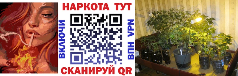 Хочу наркоту Слободской Бошки Шишки  Alpha PVP  ГАШ  Меф мяу мяу 
