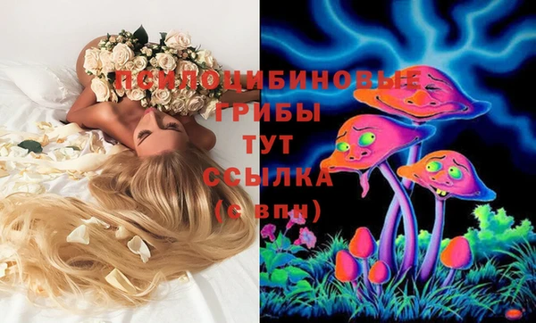 сатива Армянск