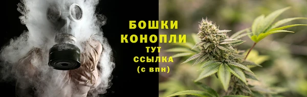 сатива Армянск