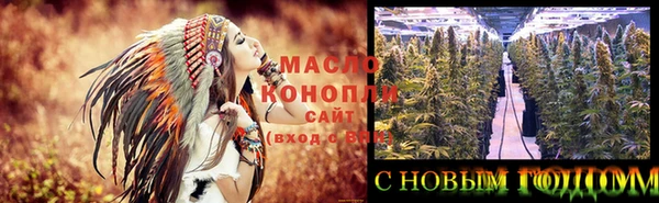 крисы Аркадак
