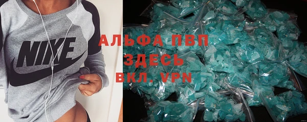 крисы Аркадак