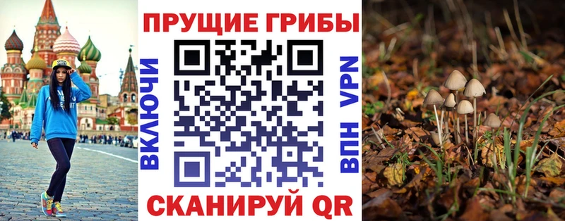 Галлюциногенные грибы Psilocybine cubensis Слободской